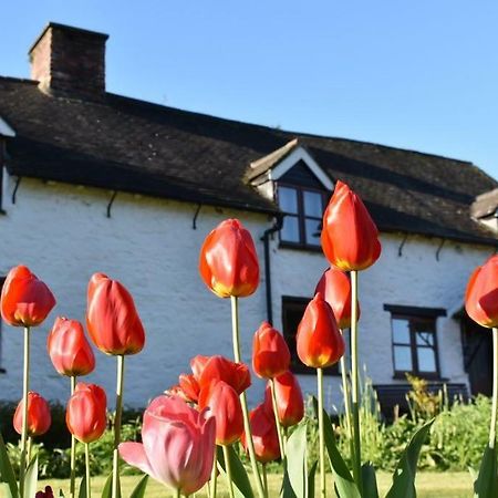 Glencoed B&B Wrexham Luaran gambar