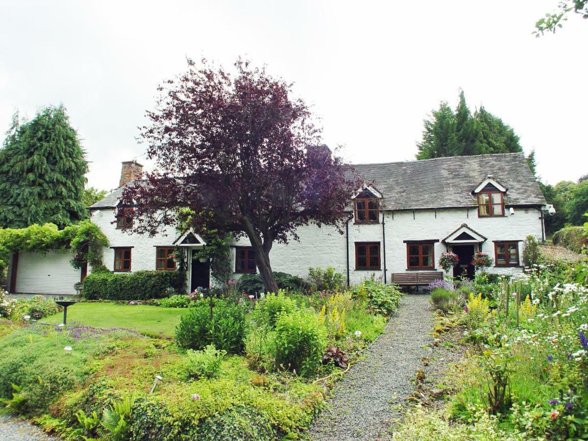 Glencoed B&B Wrexham Luaran gambar
