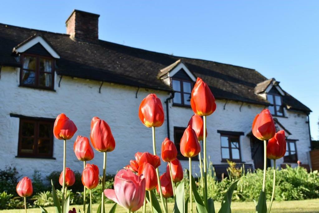 Glencoed B&B Wrexham Luaran gambar